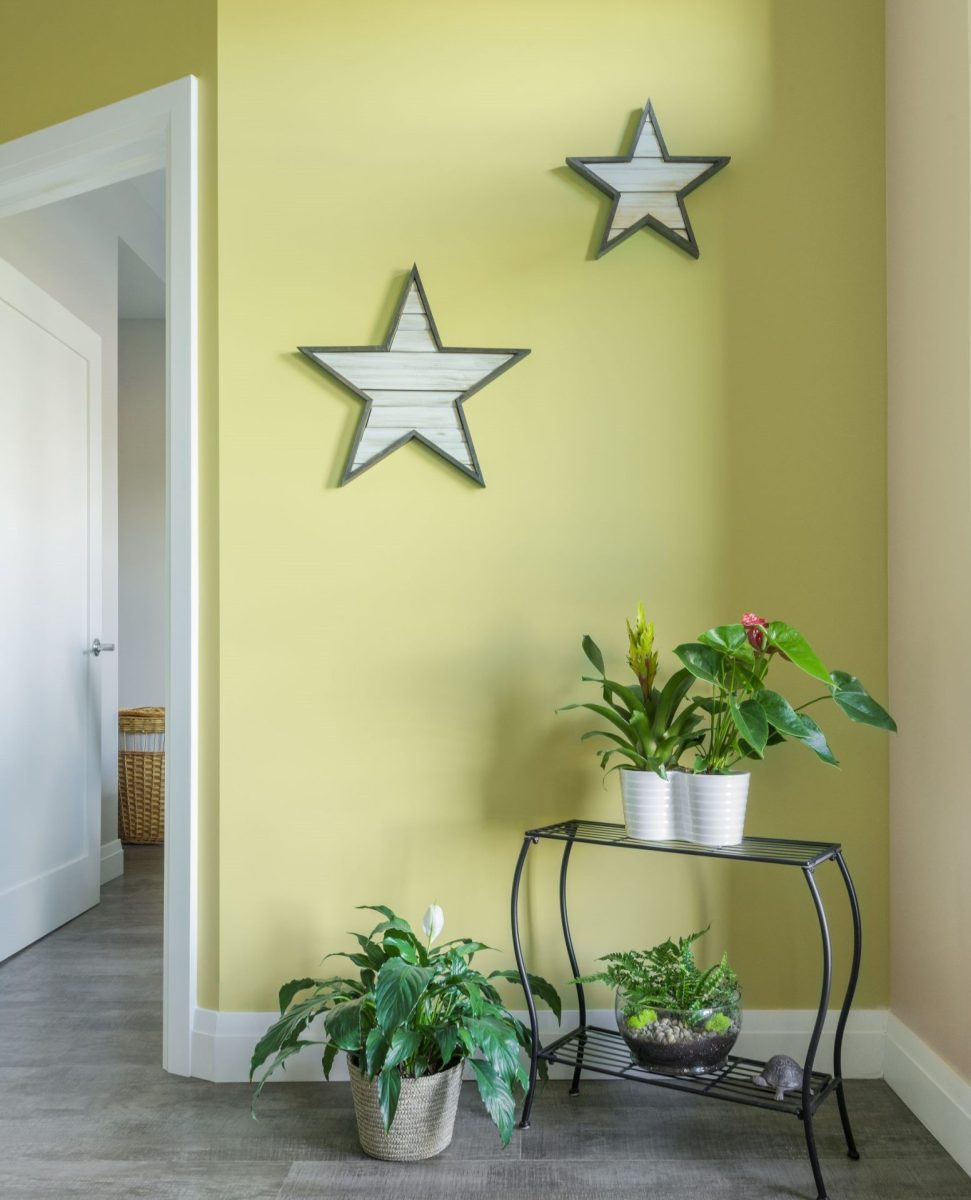 Accent wall ideas, Ottawa summer home refresh, interior decorating Ottawa, Ottawa interior design, Ottawa home decorating, Ottawa interior designer, Ottawa Decorator, interior designers near me