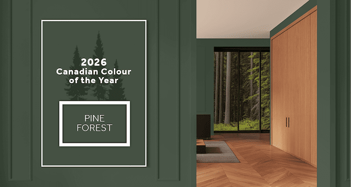 Dulux colour of 2026, interior designer near me, decorator near me, Ottawa decorator, home decorator near me, interior decorator near me